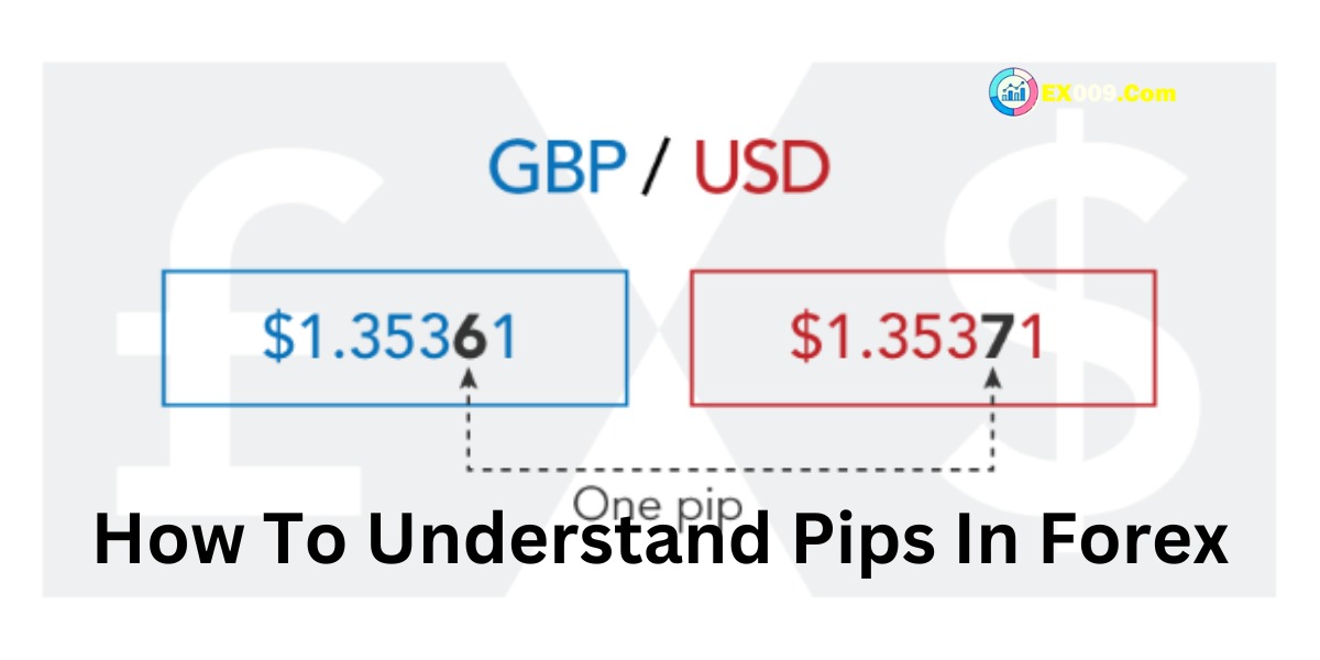How To Understand Pips In Forex